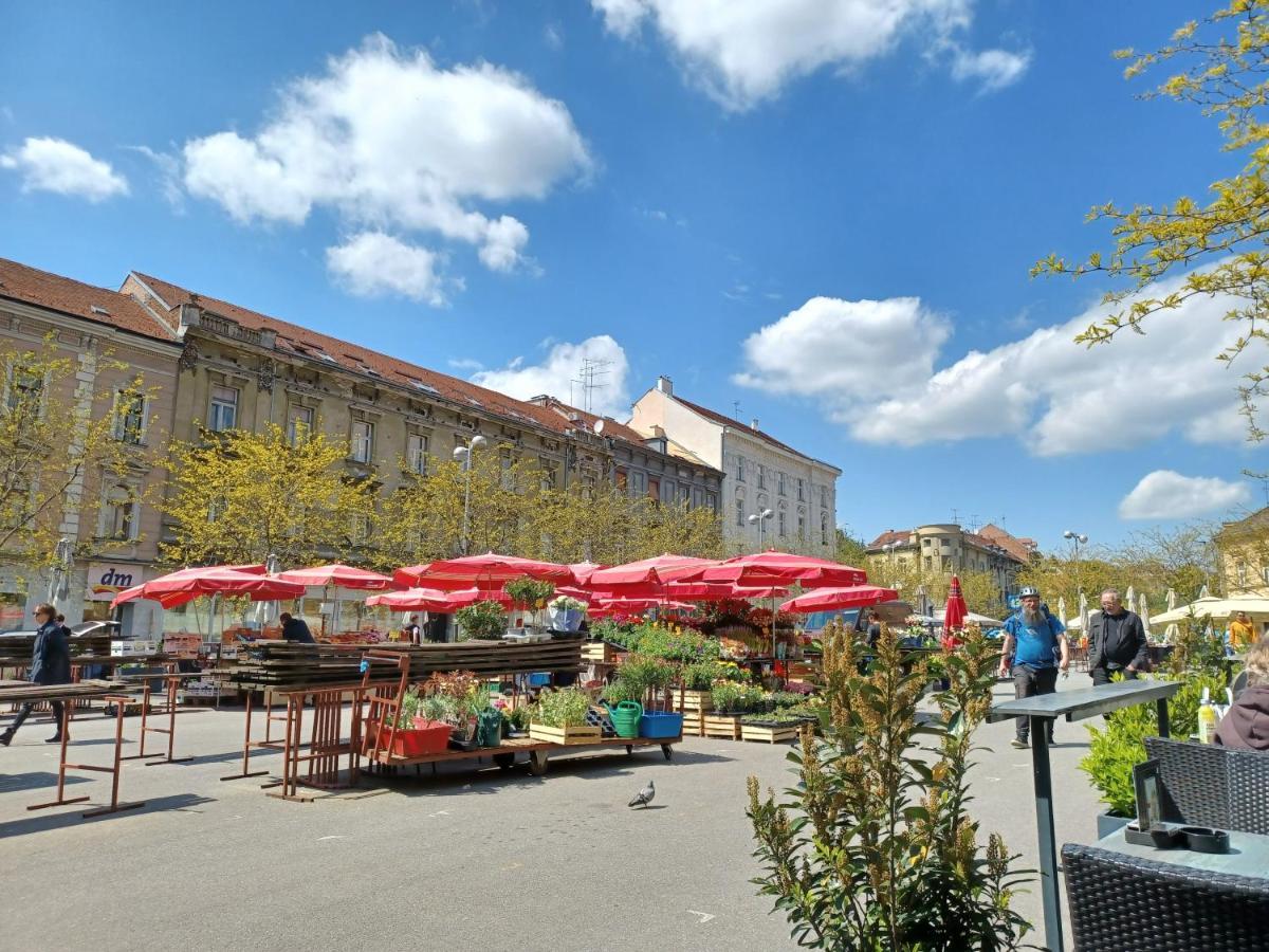 Apartment Calliope Zagreb Eksteriør bilde
